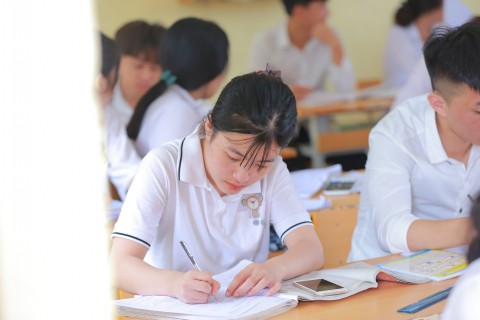 Định hướng nghề nghiệp trong bối cảnh thị trường lao động biến động: Thách thức và giải pháp